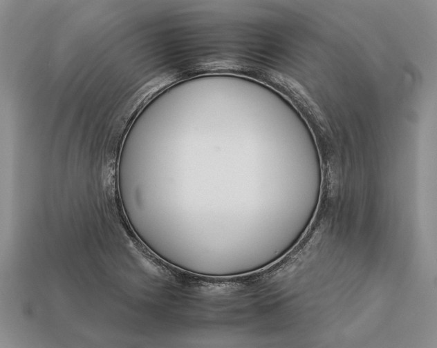 X0000113041225200909241427
