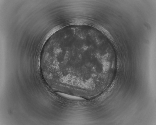 X0000113041226200909241427