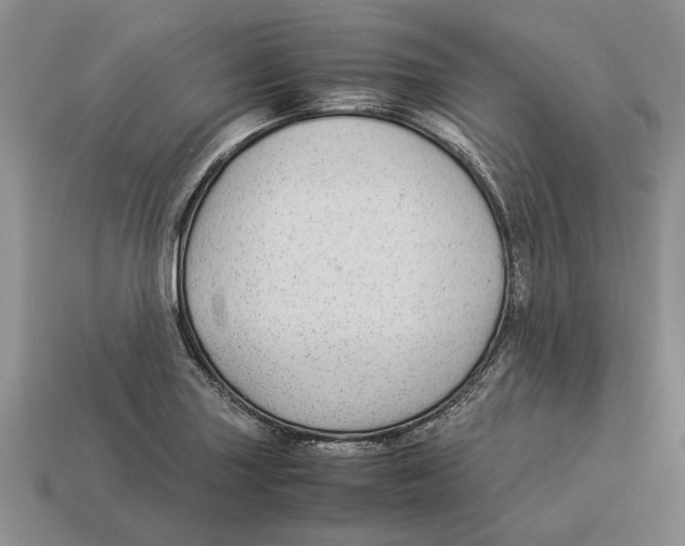 X0000113041227200909241427