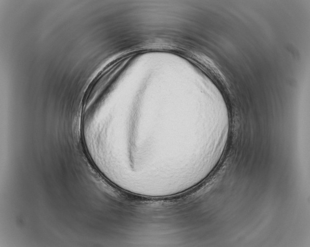 X0000113041228200909241427