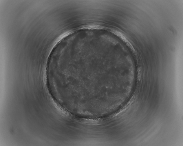 X0000113041229200909241427