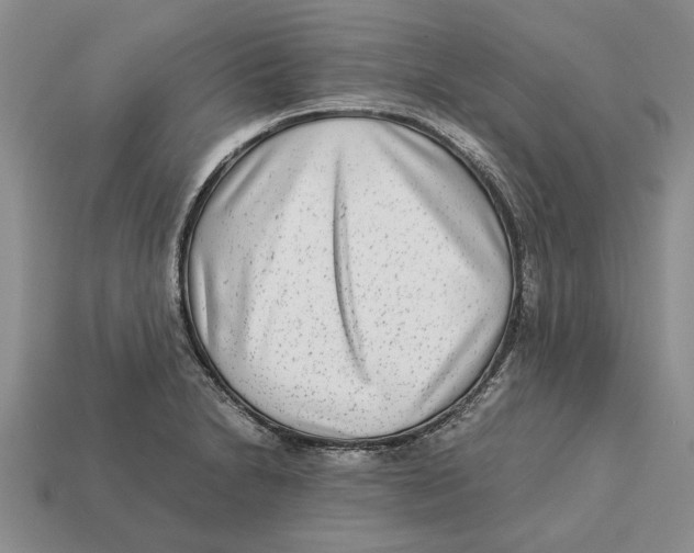 X0000113041230200909241427