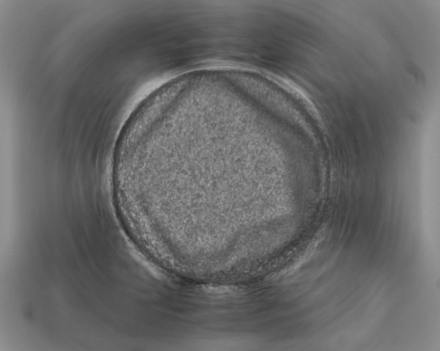 X0000113041231200909241427