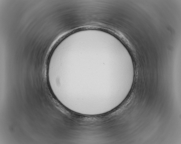 X0000113041232200909241427
