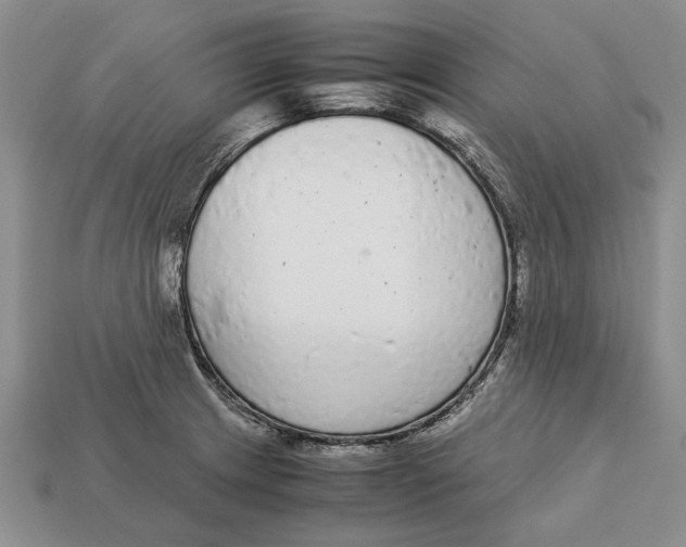 X0000113041233200909241427