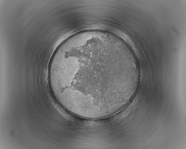 X0000113041234200909241428