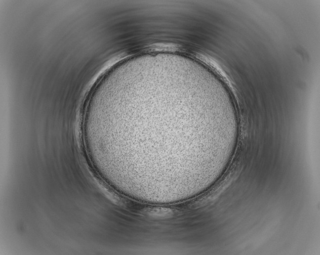 X0000113041235200909241428
