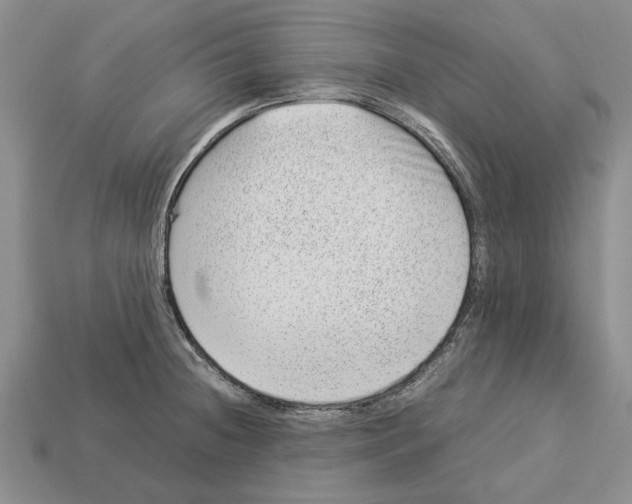 X0000113041236200909241428