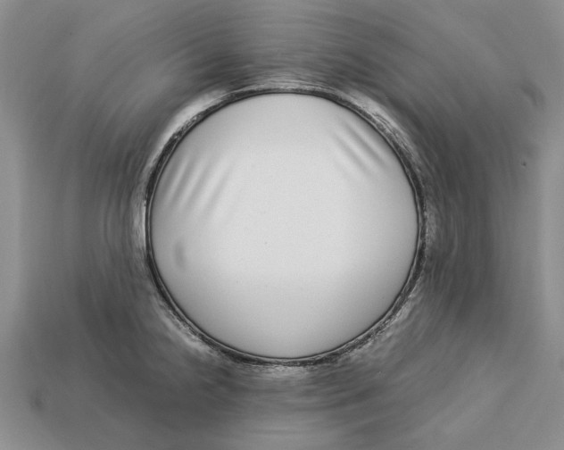 X0000113041238200909241428