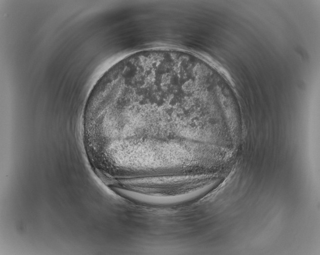 X0000113041239200909241428