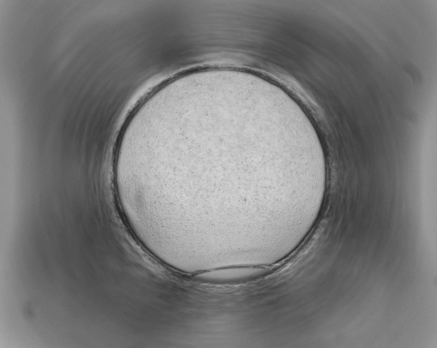 X0000113041240200909241428