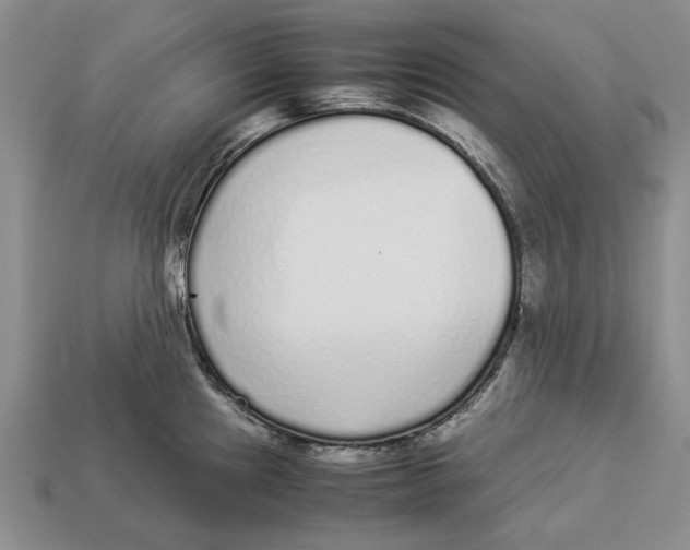 X0000113041241200909241428