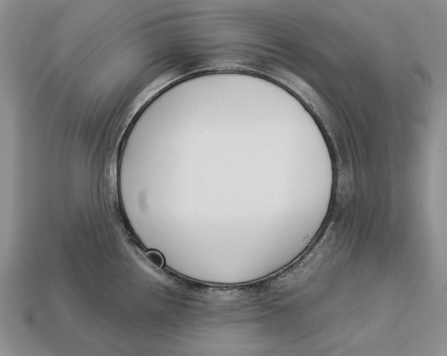 X0000113041242200909241428