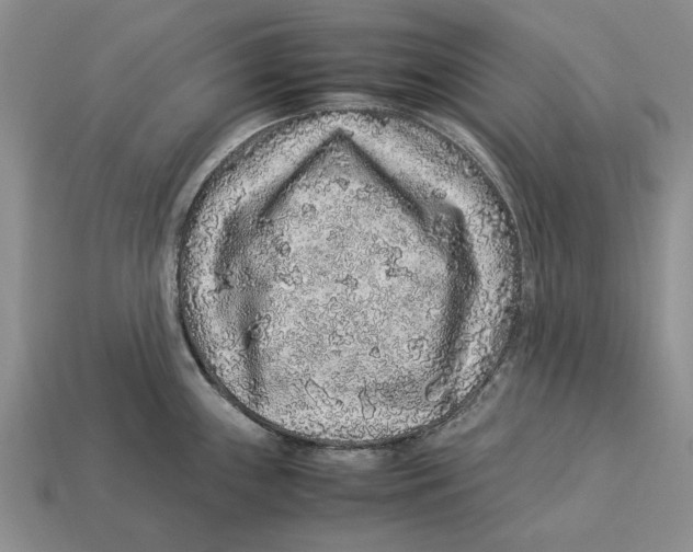 X0000113041243200909241428