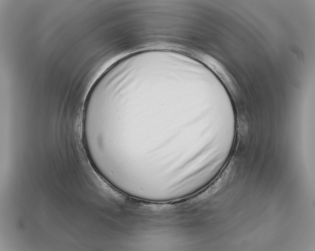 X0000113041244200909241428