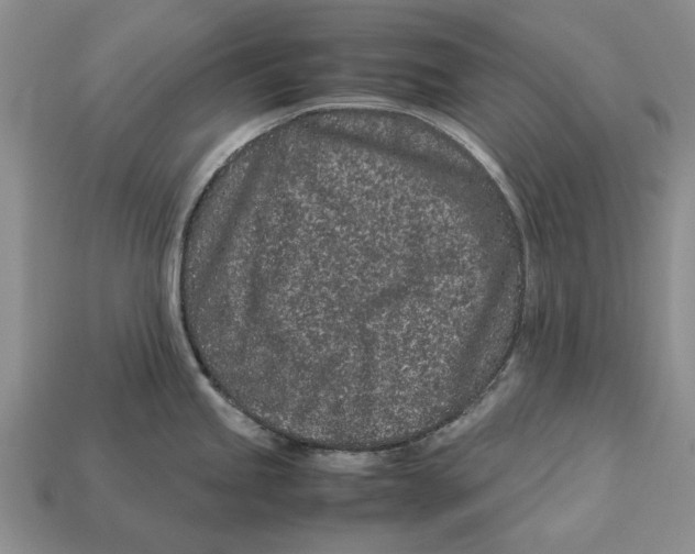 X0000113041245200909241428