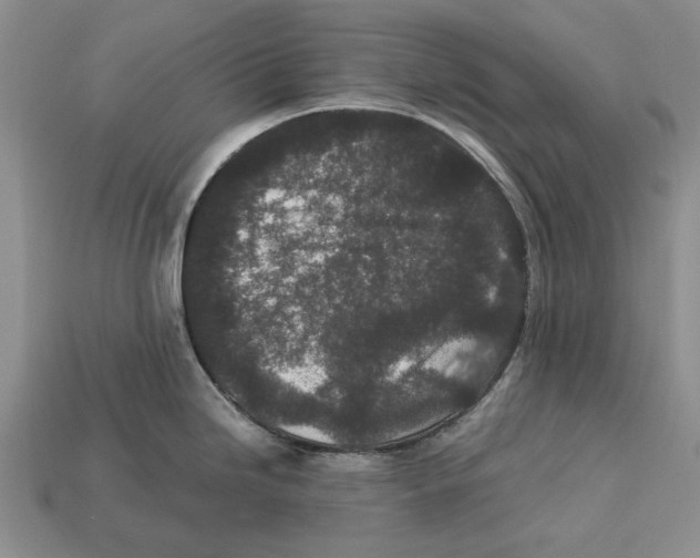 X0000113041246200909241428