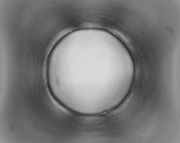 X0000113041247200909241428