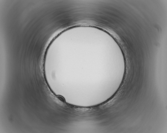 X0000113041248200909241428