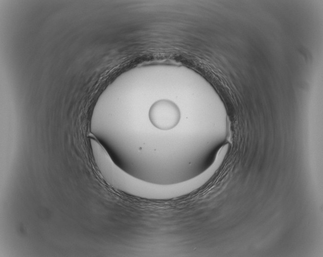 X0000113041249200909241427