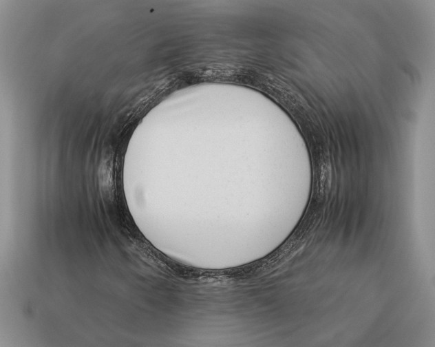 X0000113041250200909241427