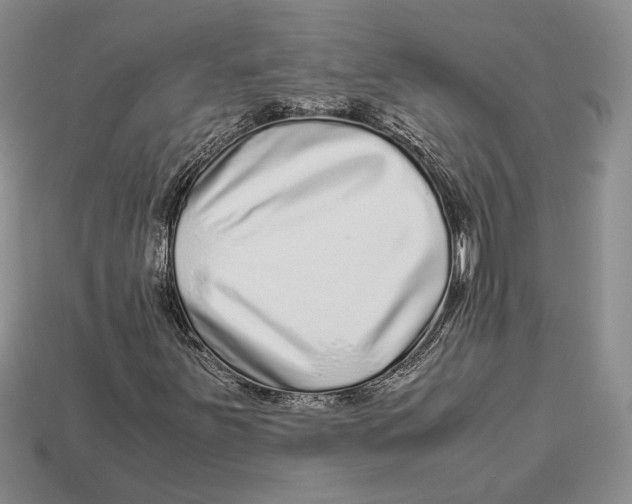 X0000113041251200909241427