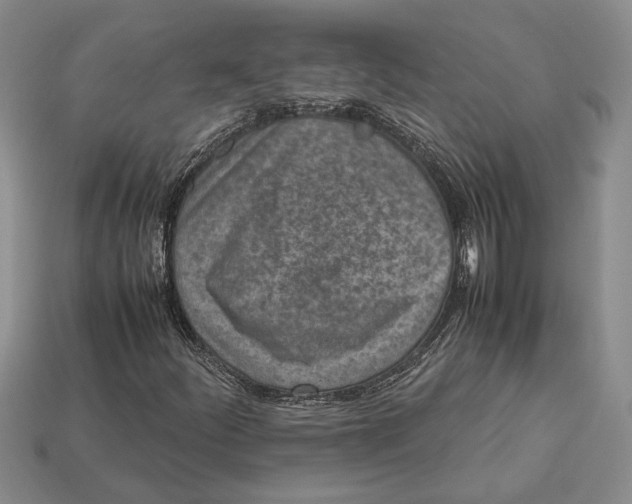 X0000113041252200909241427