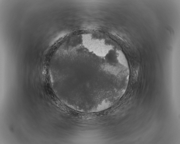 X0000113041254200909241427