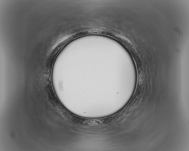 X0000113041255200909241427