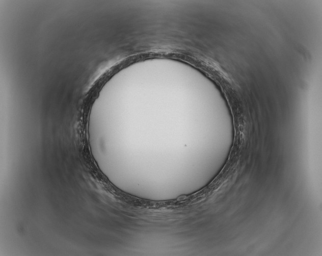 X0000113041256200909241427