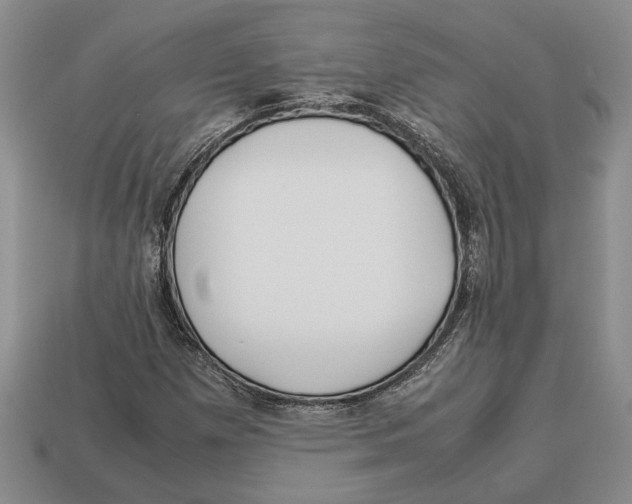 X0000113041257200909241427
