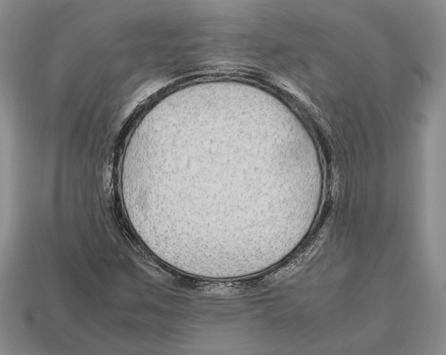 X0000113041259200909241427