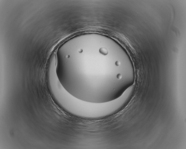 X0000113041260200909241427