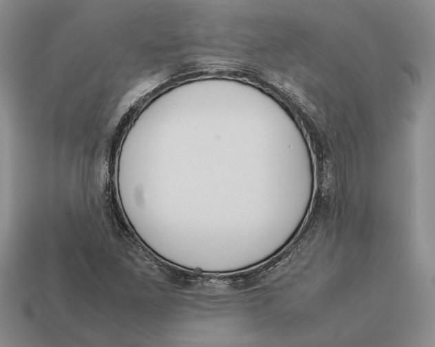 X0000113041261200909241427