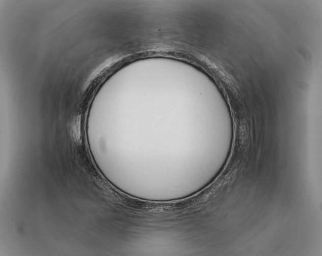X0000113041262200909241427