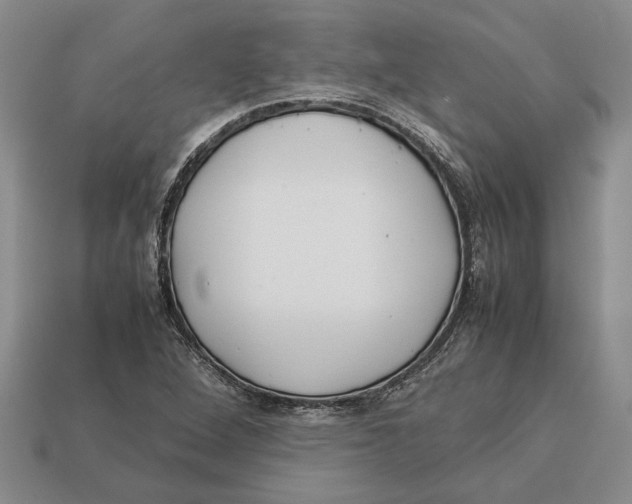 X0000113041264200909241427