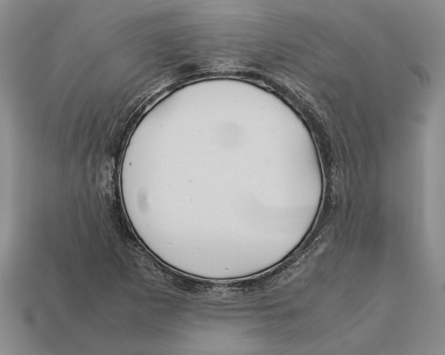X0000113041265200909241427