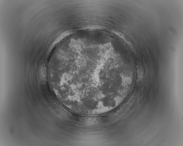 X0000113041266200909241427