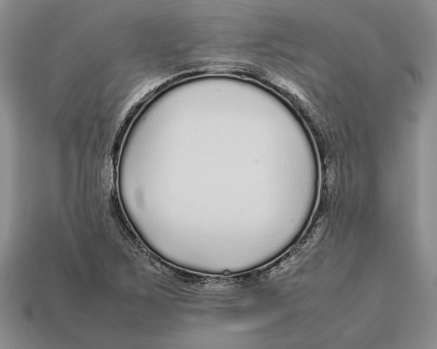 X0000113041267200909241427