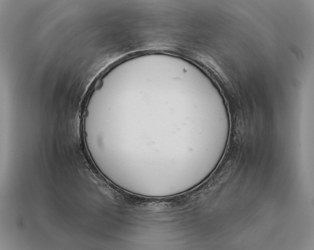 X0000113041268200909241427