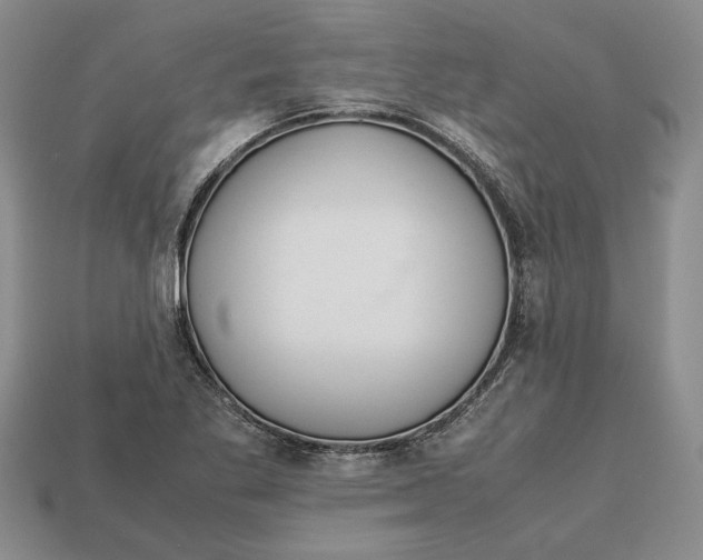 X0000113041269200909241427