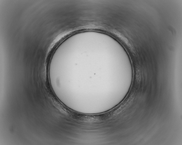 X0000113041270200909241427