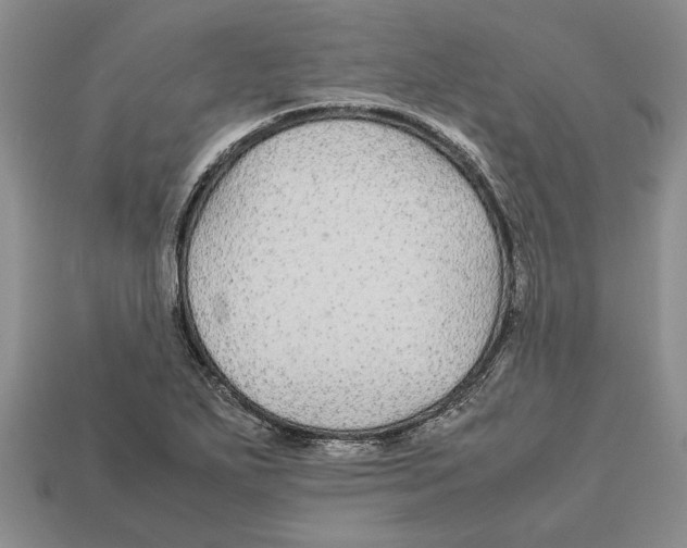 X0000113041271200909241427