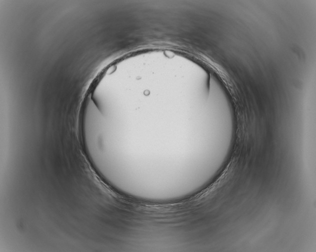 X0000113041272200909241427