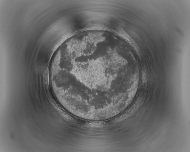 X0000113041274200909241427