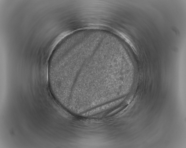 X0000113041275200909241427