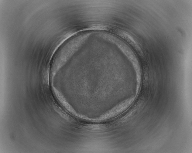 X0000113041276200909241427