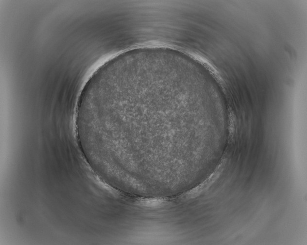 X0000113041278200909241427