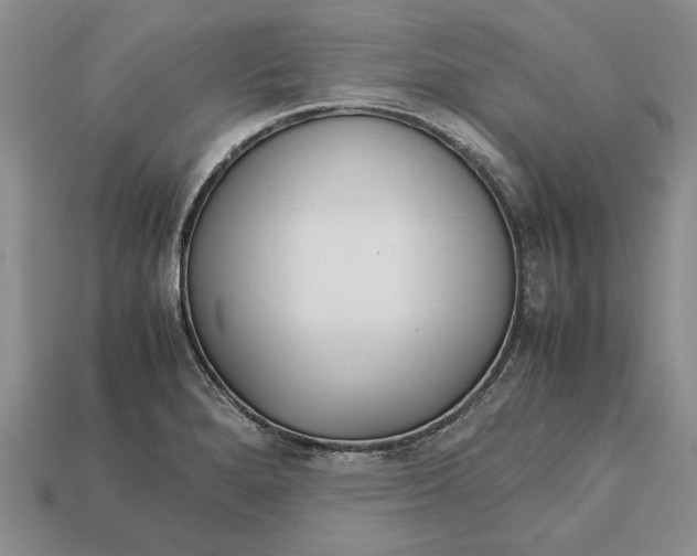 X0000113041280200909241427