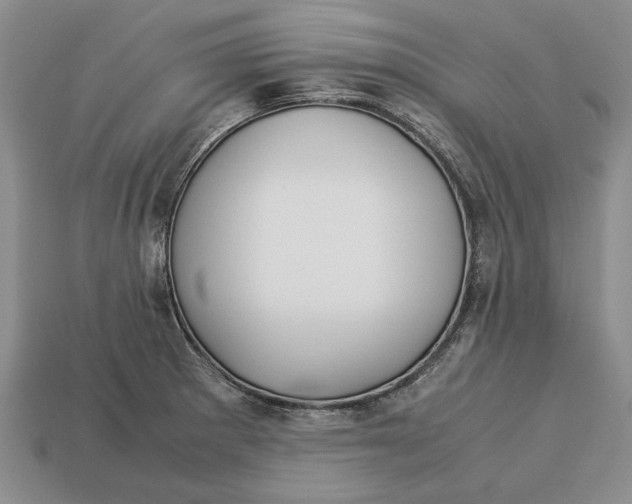 X0000113041281200909241427